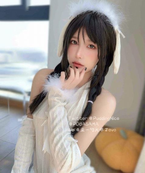天鹅羽翼