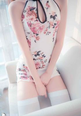 铁齿铜牙纪晓岚第四部 电视剧