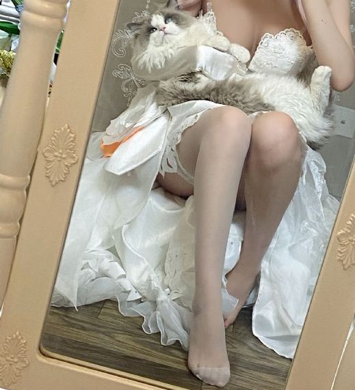 契约之吻